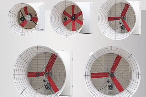畜牧業(yè)環(huán)控風(fēng)機(jī)